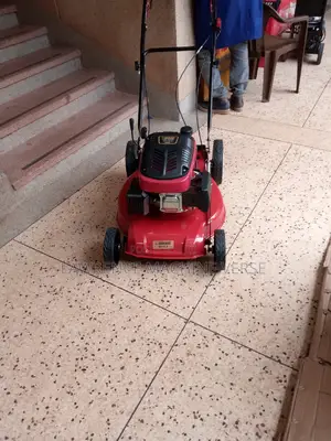 Lawn Mower 6HP