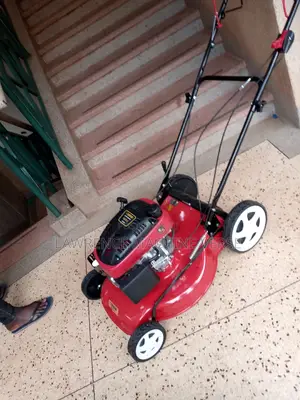 Gasoline Lawn Mower 6.5