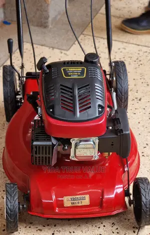 Lawn Mower 6hp