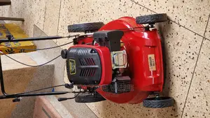 Lawn Mower 6hp