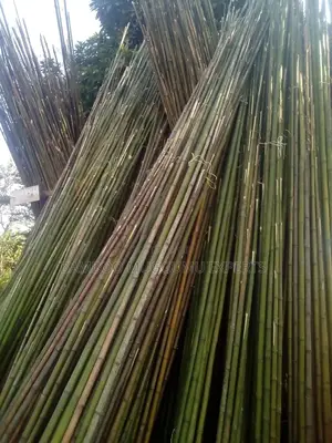 Bamboo Poles, Amabanda, Emigemo