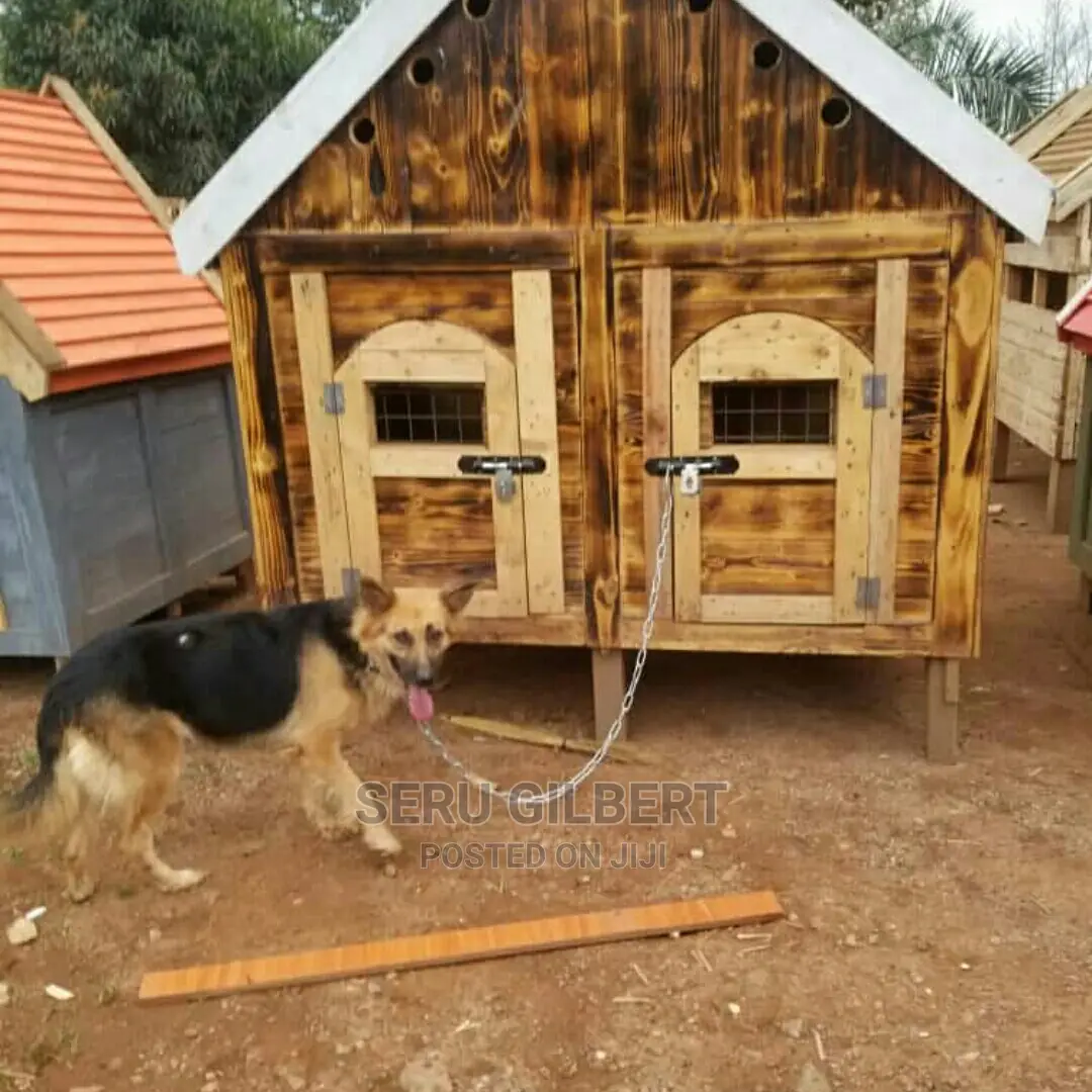 Okj Wooden Dog House