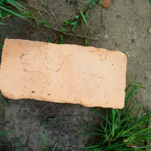 Clay Bricks