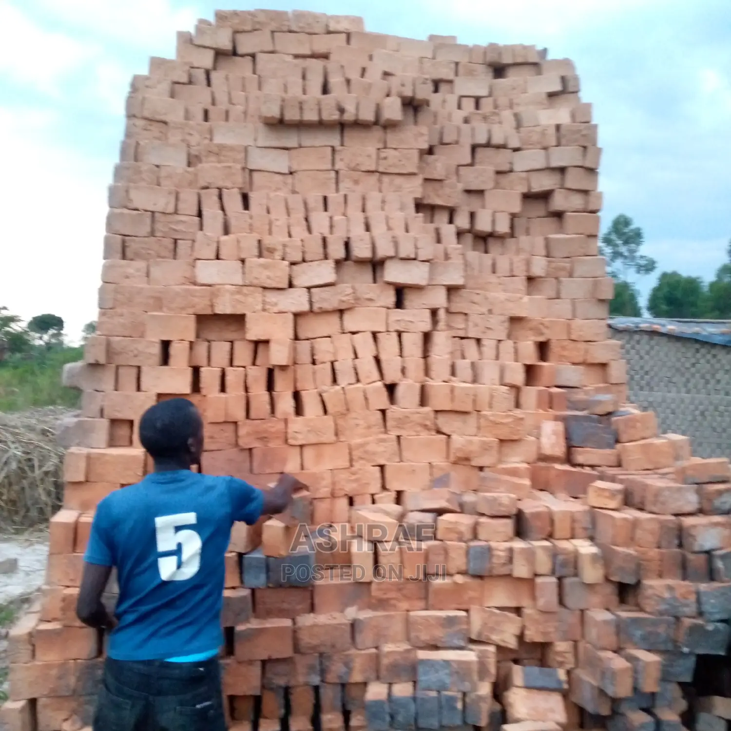 Clay Bricks