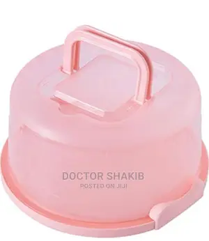 Portable Cake Box