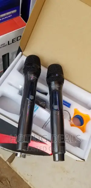 Dual Professional Wireless Microphone - Black