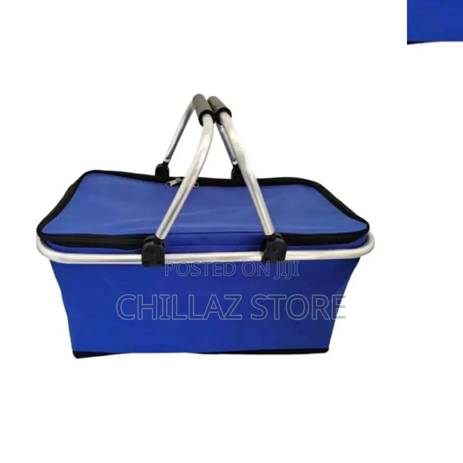 Foldable Delivery Bags.