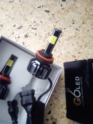 Head Lamp LED Bulbs