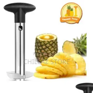 Stainless Steel Pineapple Slicer and Cutter.