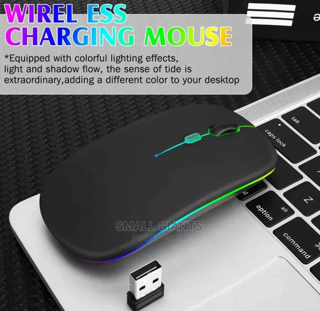 LED Wireless Rechargeable Slim Silent Mouse