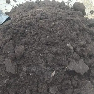 Garden Organic Pure Black Soil