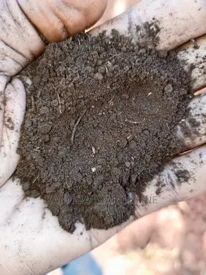 Black Fertile Soil/Fertilizer