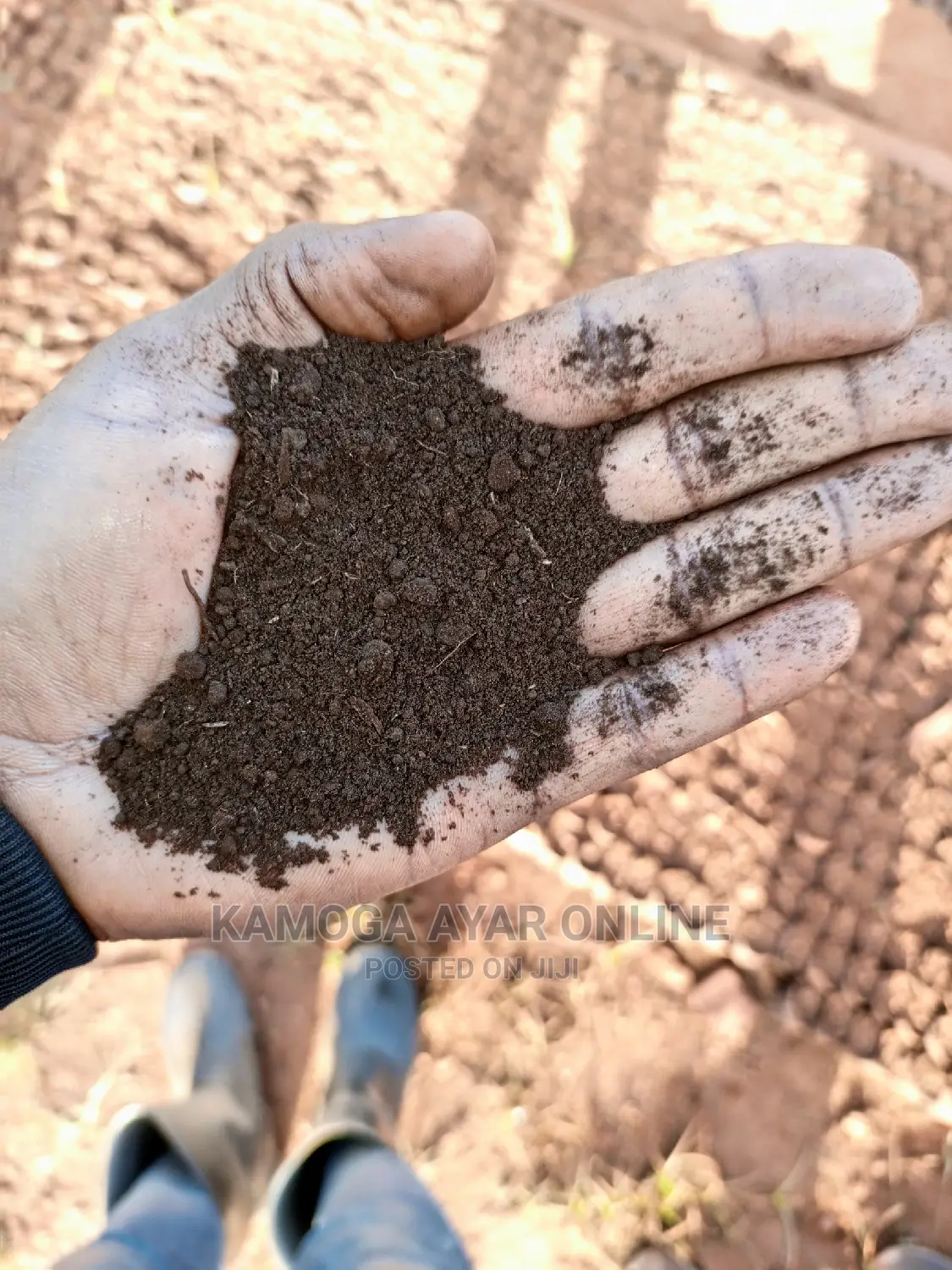 Pure Organic Black Soil