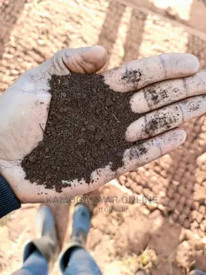 Pure Organic Black Soil