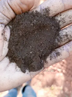 Pure Organic Black Soil