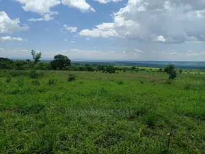 5 Square Miles of Land for Sale in Nwoya District.