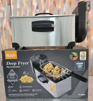 Raf Single Deep Fryer
