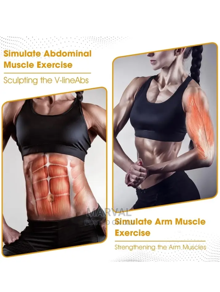 EMS Muscle Stimulator( ABS Trainer)