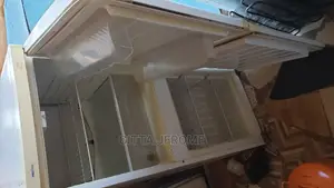 Fridge Repair Services to Your Home or Work Place