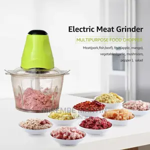 Electric Meat Grinder