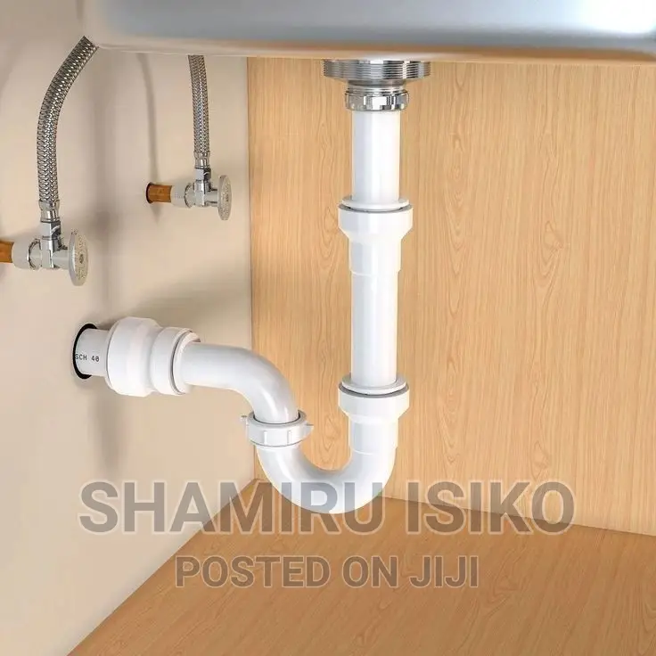 Professional Plumbers