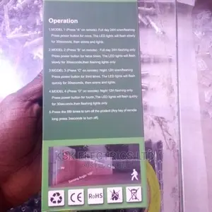 Solar Alarm Lamp