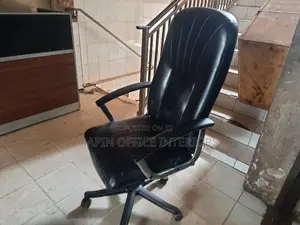 Long Back Office Chair