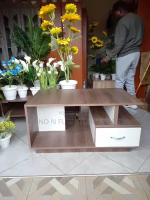 Exciting Center Table in Different Stages.3 by 4fts