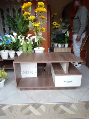 Exciting Center Table in Different Stages.3 by 4fts