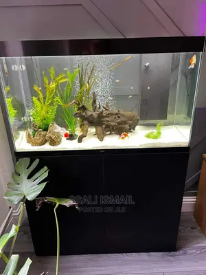 Crystal Clear Water Aquarium Black