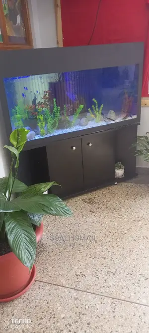 Corner Tank Black Colour and Cheaper