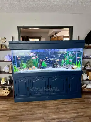 A Well Designed Neat Aquarium