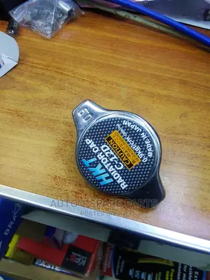 Radiator Cup HKT Japan