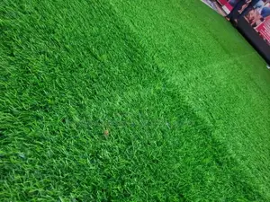 Grass Carpet (Artificial Grass)Artificial Turf Grass