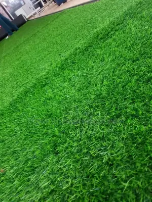Grass Carpet (Artificial Grass)Artificial Turf Grass