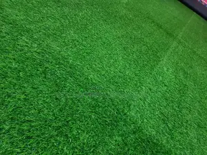 Grass Carpet (Artificial Grass)Artificial Turf Grass