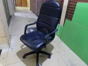 Long Back Office Chair