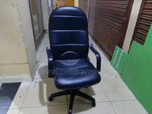Adjustable Long Back Chair