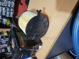 Air Filter Audi 