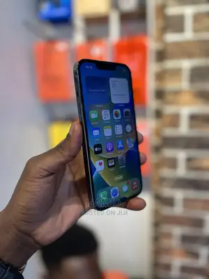 Apple iPhone 13 Pro 128 GB Gray