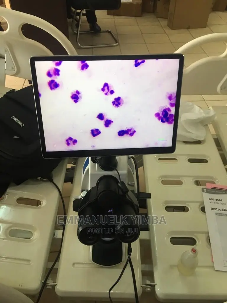 Trinocular Microscope