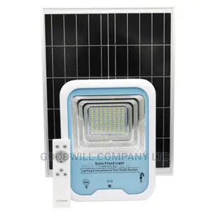 100w 10year Life Span Solar Flood Light