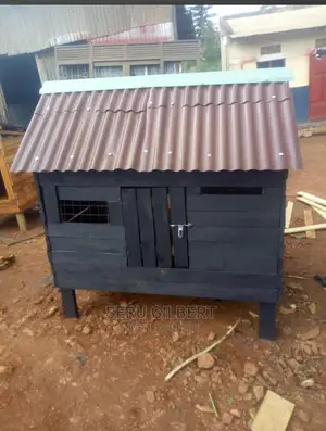 At 450000 Get Your Self a Dog House