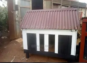 Back and White Dog House