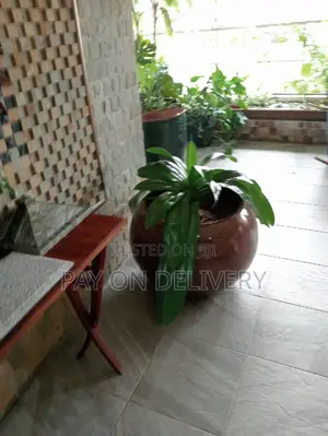 Pots and Flowers