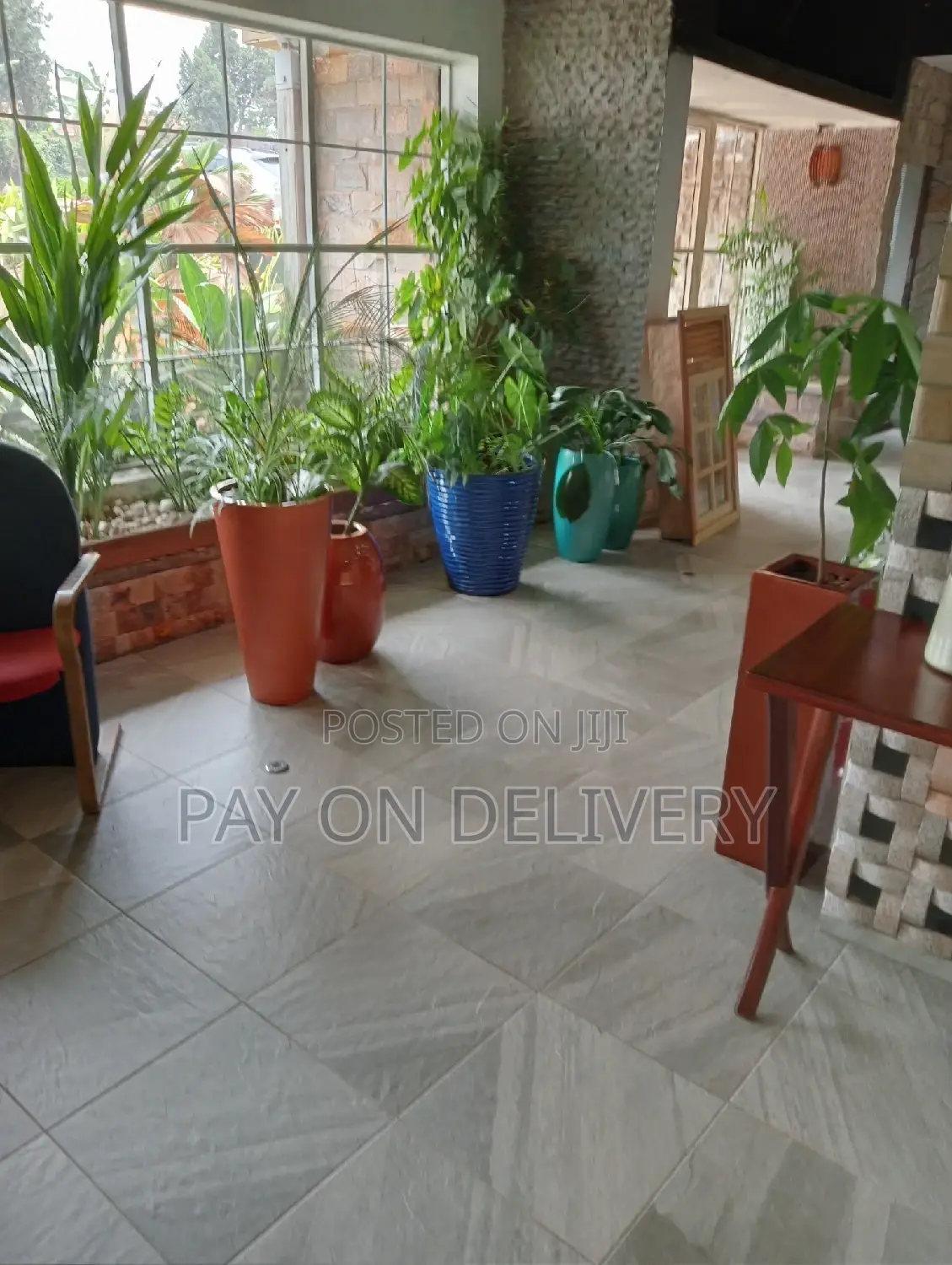 Pots and Flowers