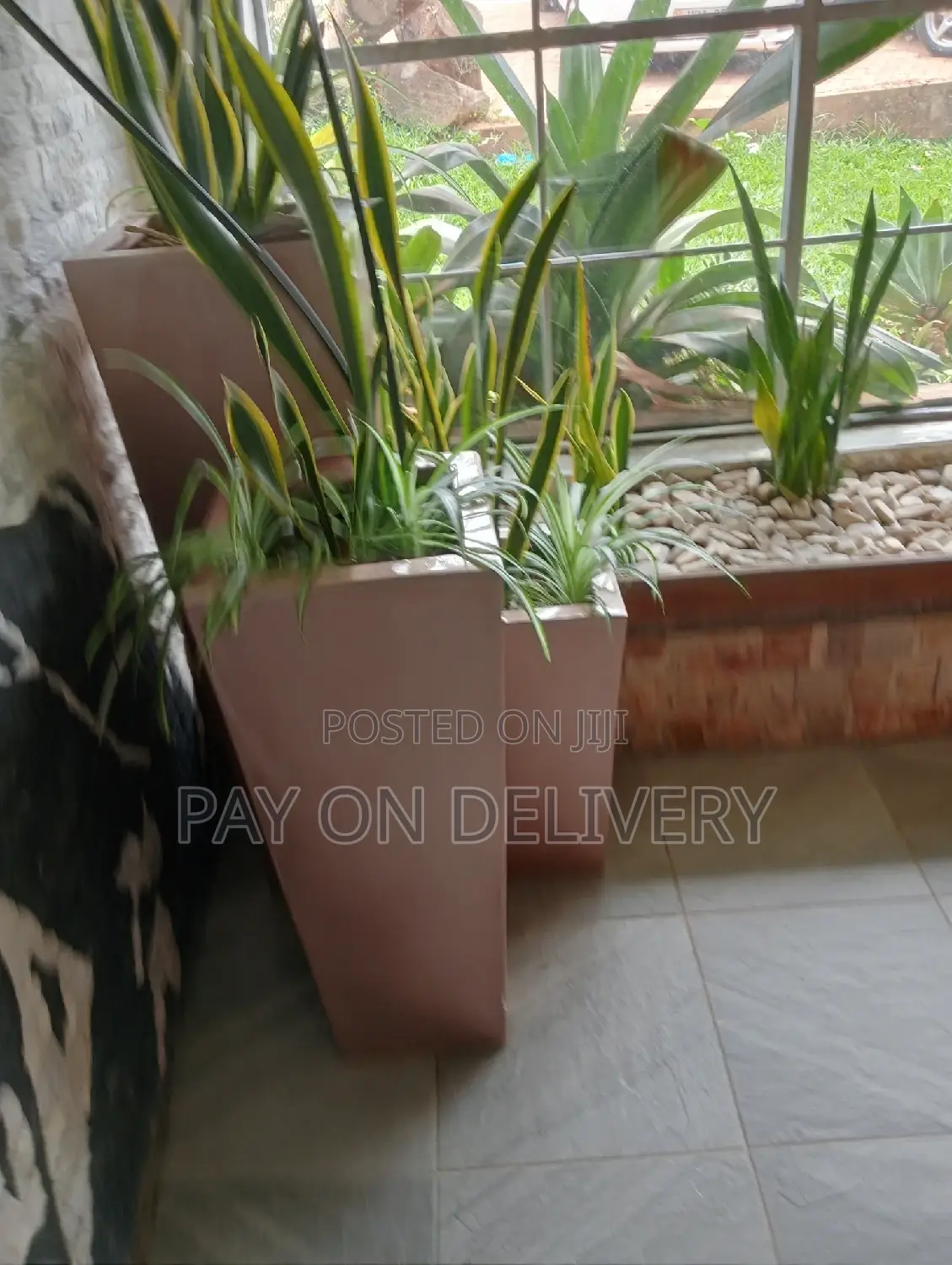 Pots and Flowers