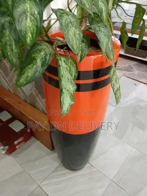 Pots and Flowers