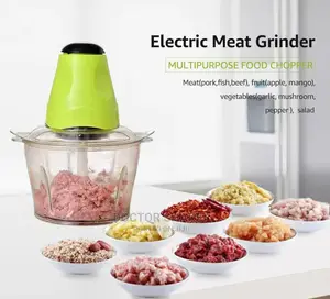Electric Meat Grinder