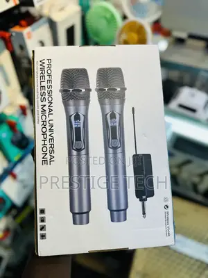 Professional Universal Wireless Microphones (Pair)